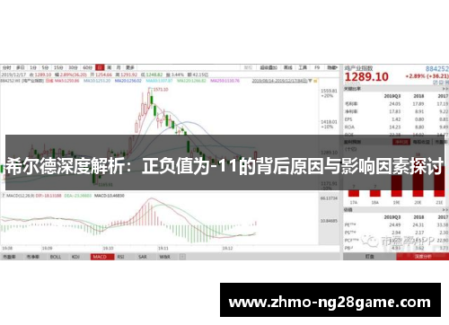希尔德深度解析：正负值为-11的背后原因与影响因素探讨