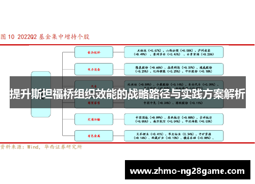 提升斯坦福桥组织效能的战略路径与实践方案解析